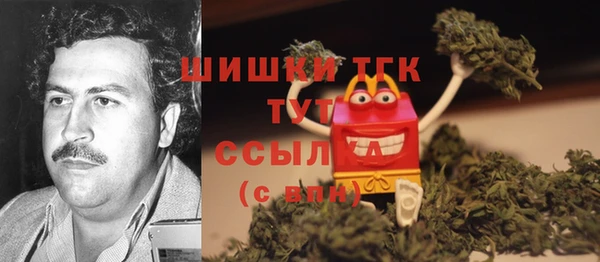 амф Арсеньев