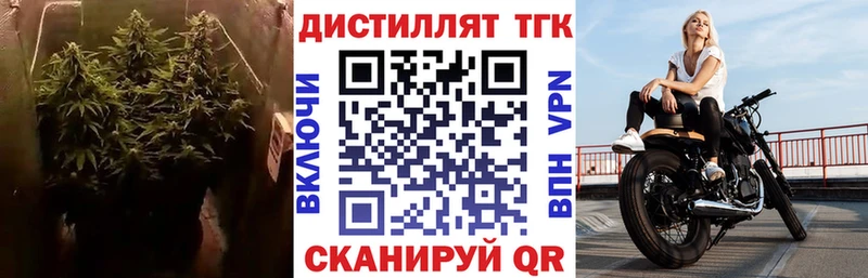 Дистиллят ТГК концентрат  omg маркетплейс  Сычёвка 
