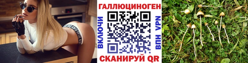 Псилоцибиновые грибы MAGIC MUSHROOMS Сычёвка